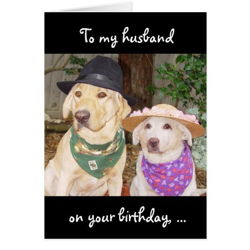 Funny Birthday Wishes To Husband
 Funny Husband Birthday Greeting Card