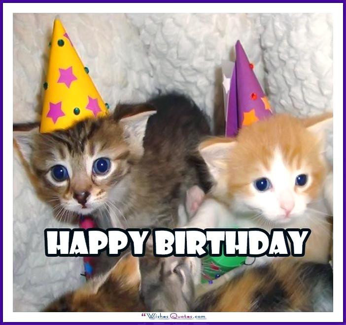 Funny Cat Birthday Meme
 Happy Birthday Memes with Funny Cats Dogs and Animals