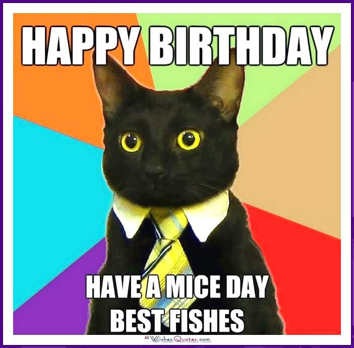 Funny Cat Birthday Meme
 Happy Birthday Memes with Funny Cats Dogs and Animals