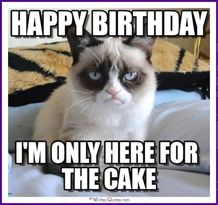 Funny Cat Birthday Meme
 Happy Birthday Memes with Funny Cats Dogs and Cute Animals