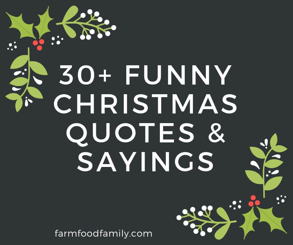 Funny Christmas Quote
 30 Funny Christmas Quotes & Sayings That Make You Laugh