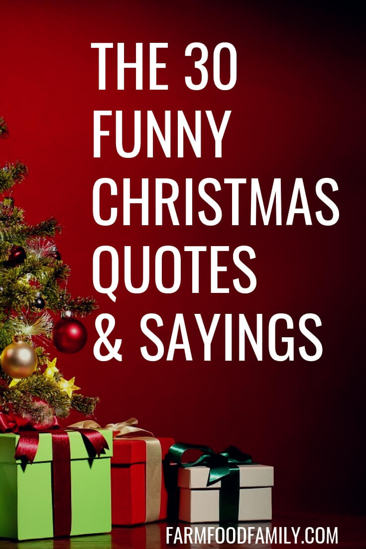 Funny Christmas Quote
 30 Funny Christmas Quotes & Sayings That Make You Laugh