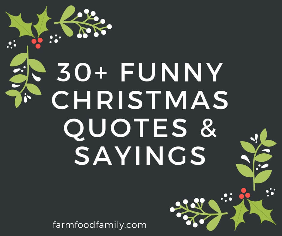 Funny Christmas Quotes Sayings
 30 Funny Christmas Quotes & Sayings That Make You Laugh
