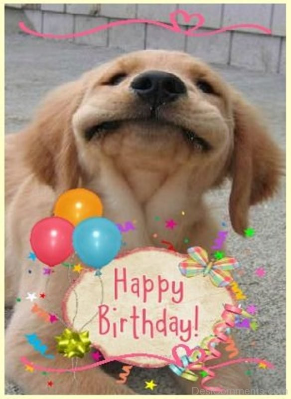 Funny Dog Birthday Wishes
 Happy Birthday Dear Desi ments