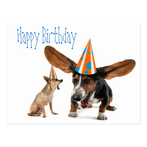 Funny Dog Birthday Wishes
 Funny Dog Birthday Postcard