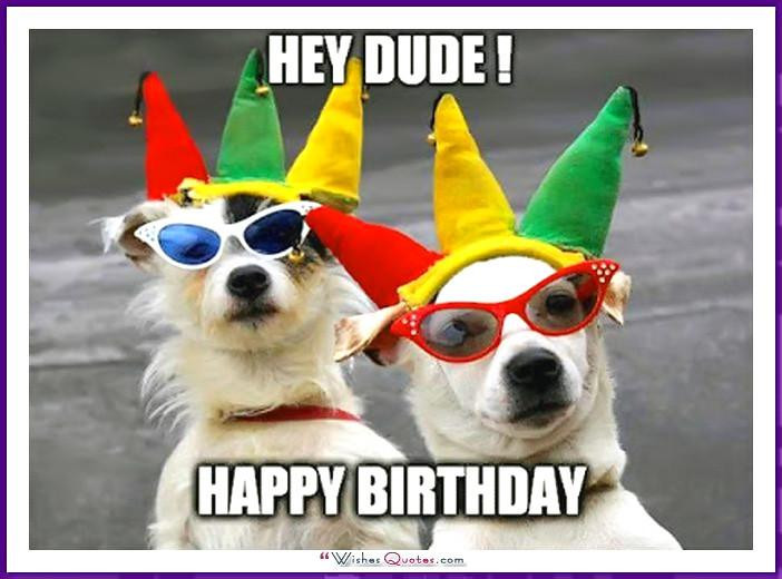 Funny Dog Birthday Wishes
 Happy Birthday Memes with Funny Cats Dogs and Cute Animals
