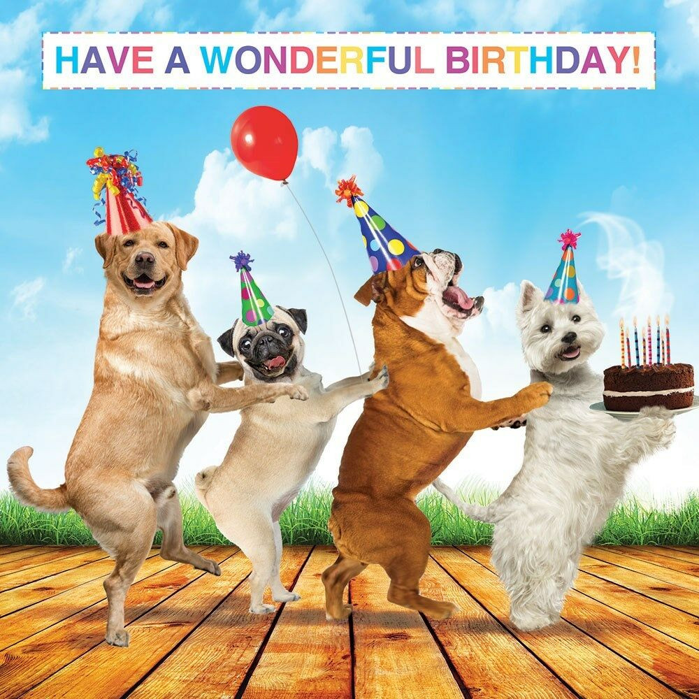 Funny Dog Birthday Wishes
 Dog Lovers Luxury Glitter Birthday Greeting Card Pug