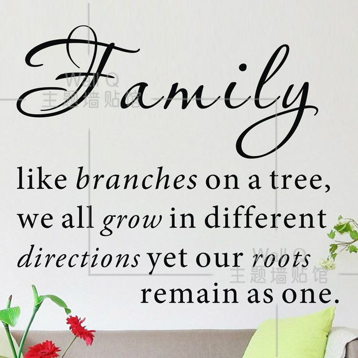 Funny Family Sayings Quotes
 Funny Quotes About Family Trees QuotesGram