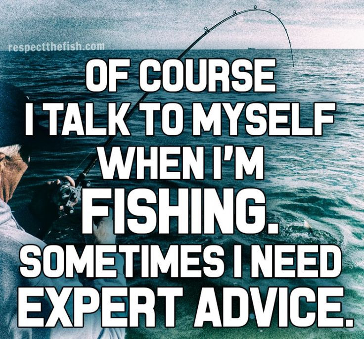 Funny Fishing Quotes
 More Fishing Memes Its A Fishing Thing