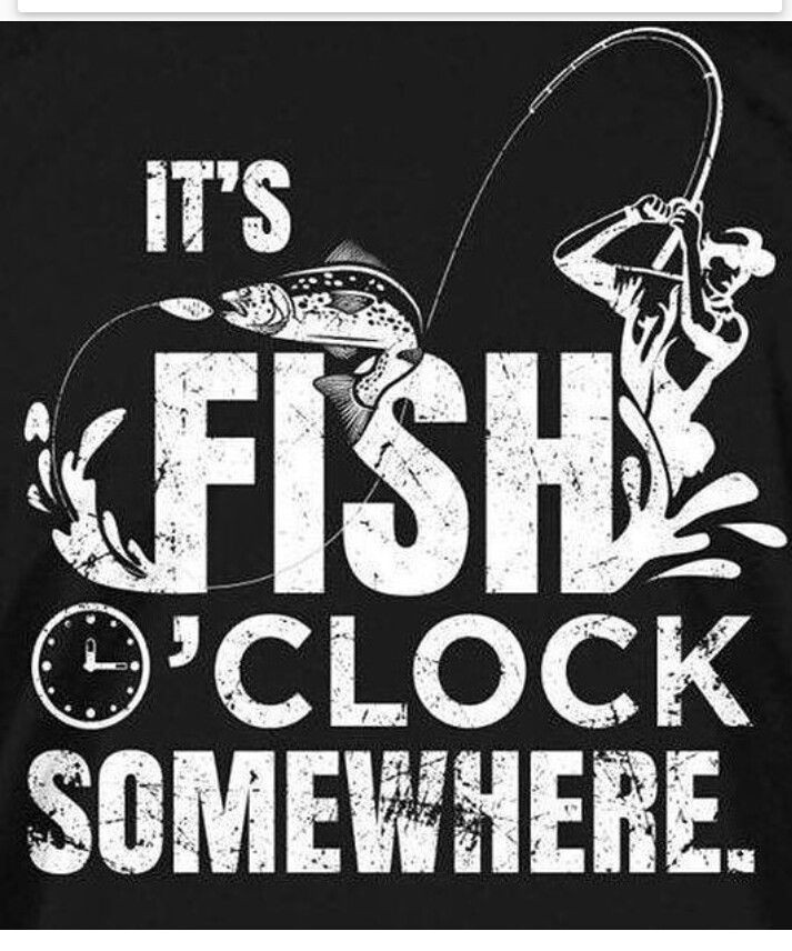 Funny Fishing Quotes
 34 best Fishing Quotes & Sayings images on Pinterest