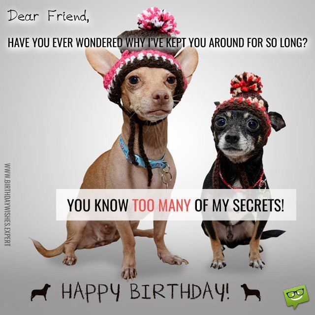 Funny Friend Birthday Wishes
 Funny Birthday Wishes for your Family & Friends