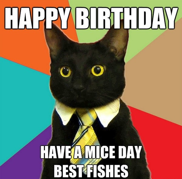 Funny Happy Birthday Memes
 Incredible Happy Birthday Memes for you Top Collections