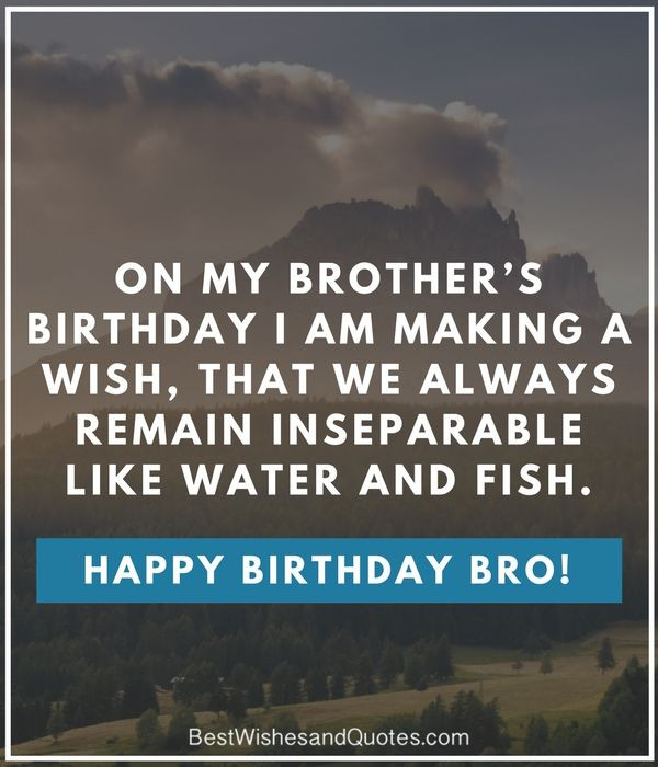 Funny Happy Birthday Quotes For Brother
 Birthday Quote For Brother Funny