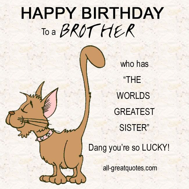 Funny Happy Birthday Quotes For Brother
 Happy Birthday To A Brother s and