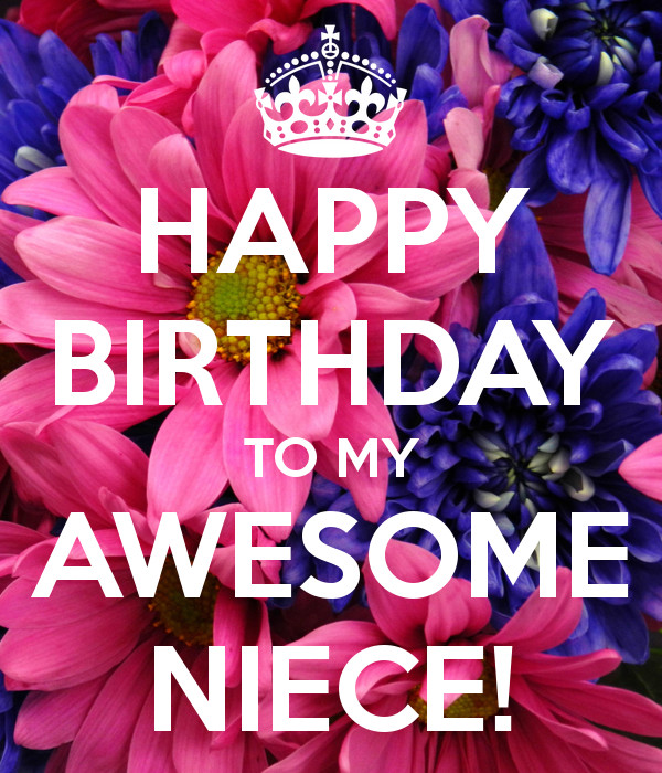 Funny Happy Birthday Quotes For Niece
 Happy Birthday To My Awesome Niece s and