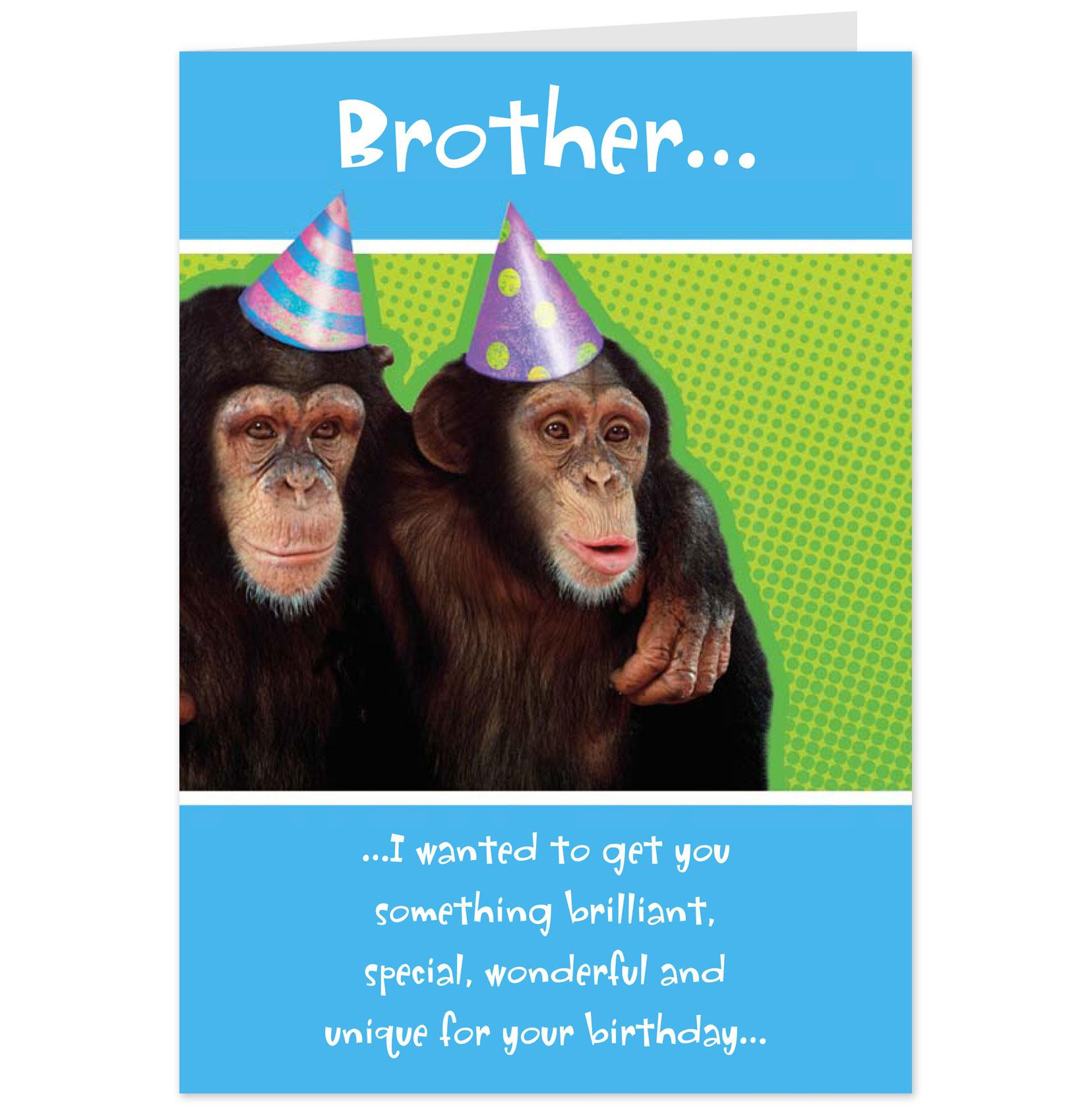 Funny Online Birthday Cards
 Funny Birthday Quotes From Maxine QuotesGram
