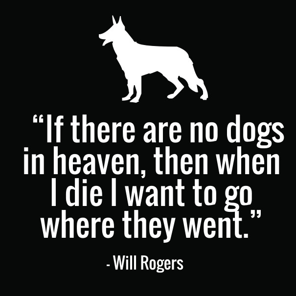 Funny Quotes About Death
 12 Cute Dog Quotes for Dog Lovers with Funny