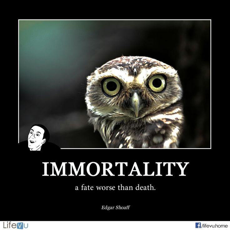 Funny Quotes About Death
 62 Best Immortality Quotes And Sayings