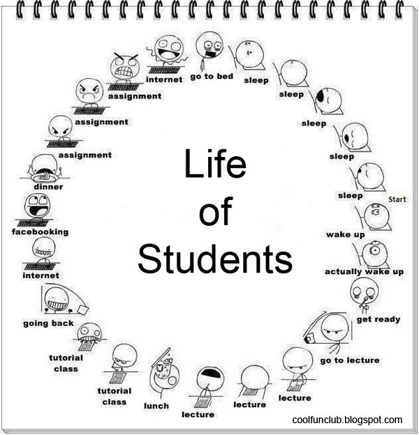 Funny Student Quotes
 LIFE OF A STUDENT