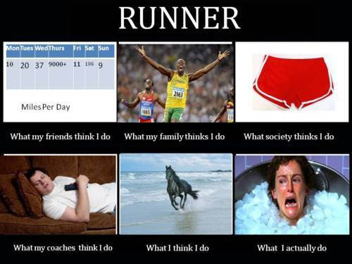 Funny Track Quotes
 You Might Be A Runner If • Half Crazy Mama