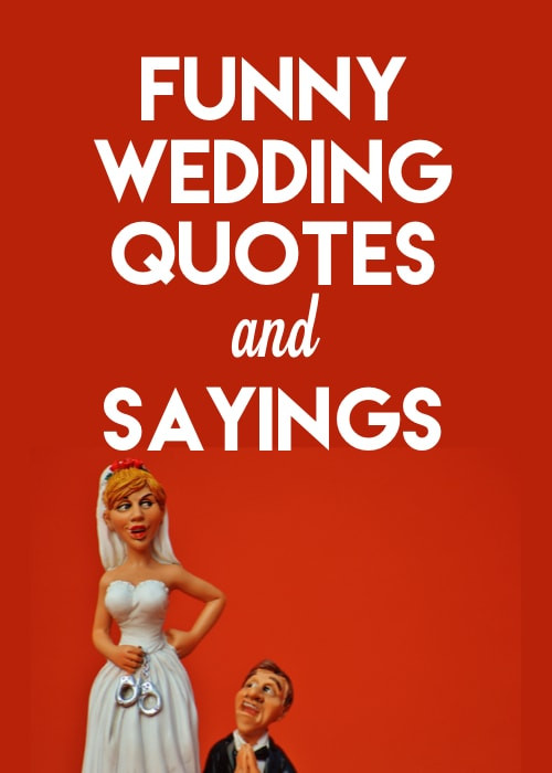 Funny Wedding Quotes For A Card
 Funny Wedding Speeches Groom