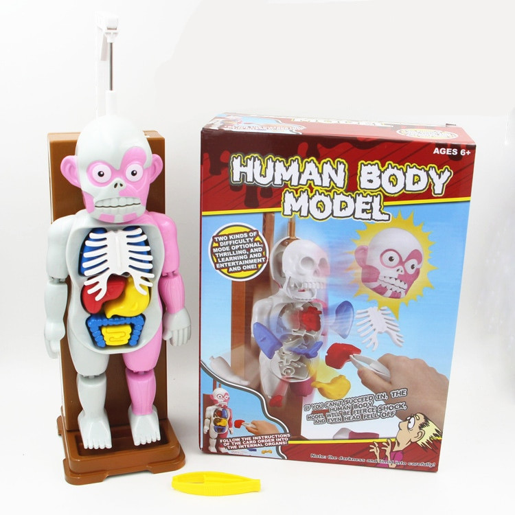 Gag Gifts For Kids
 [Funny] Novelty Gag Toy Human anatomy Trick Joke Gift For