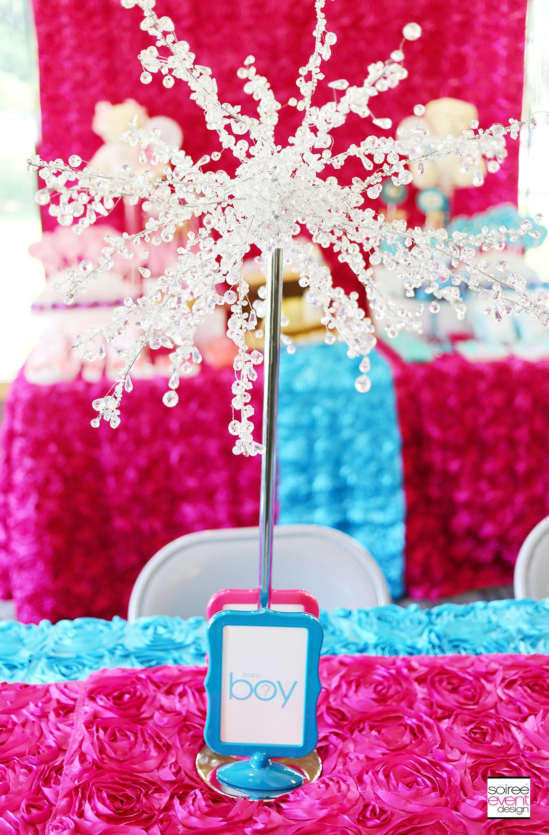 Gender Party Decoration Ideas
 How to Host Your Own Gender Reveal Party Soiree Event