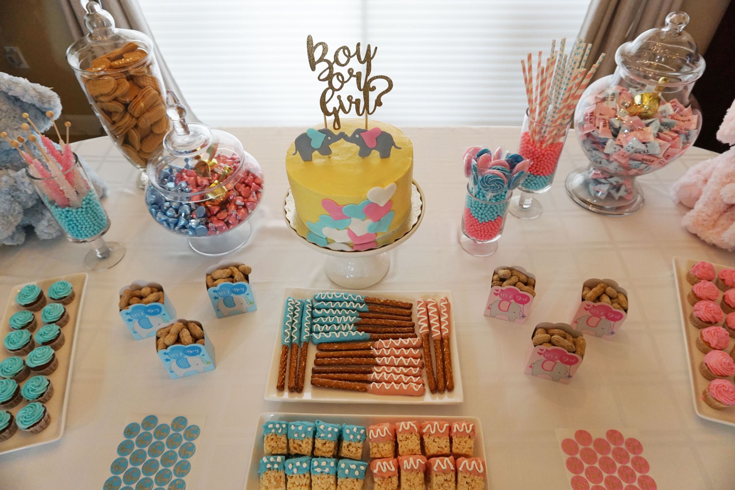 Gender Party Reveal Ideas
 Baby s Gender Reveal Party gen y girl