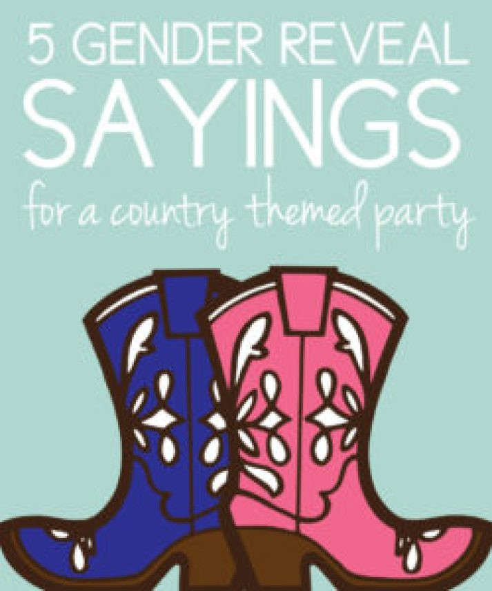 Gender Reveal Party Ideas Country
 5 Gender Reveal Sayings for a Rustic Country Themed Party
