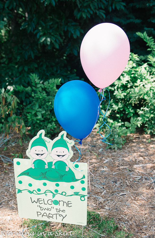 Gender Reveal Party Ideas For Twins
 The Cutest Gender Reveal Party for Twins