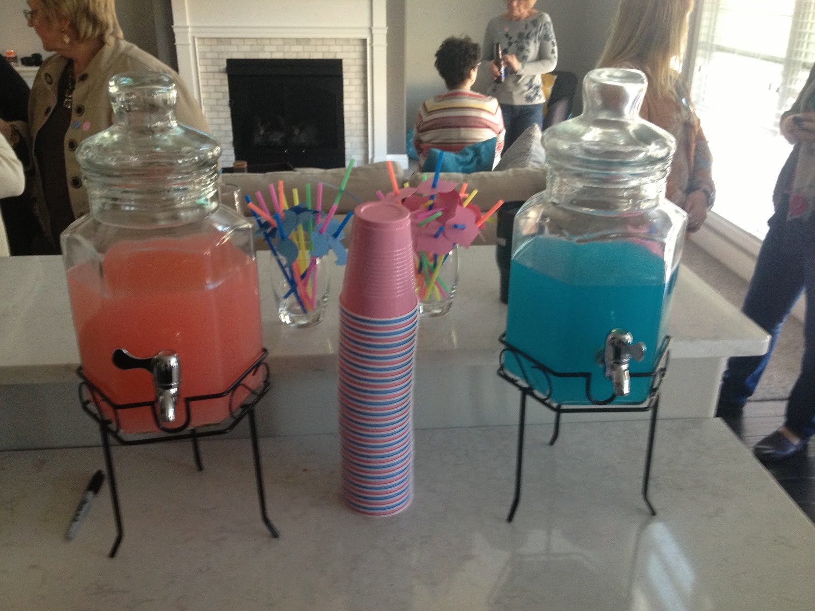 Gender Reveal Party Ideas Twins
 Recently Rimini Our Gender Reveal Party for the Twins