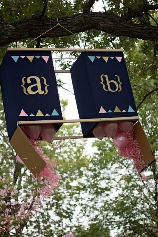 Gender Reveal Party Ideas Twins
 The Best Ideas for Twins Gender Reveal Party Ideas – Home