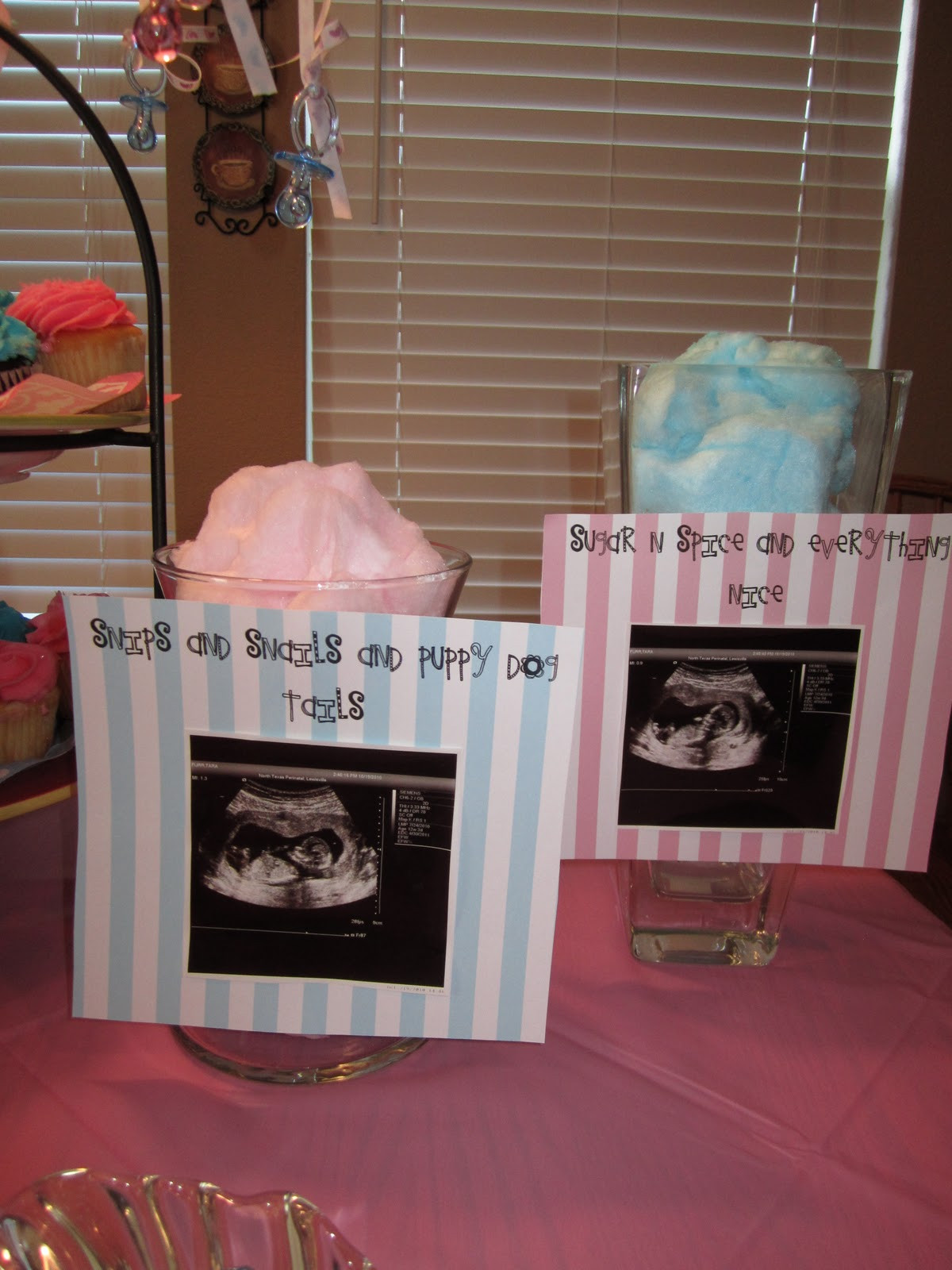 Gender Reveal Party Theme Ideas
 The Furr Five Gender Reveal Party