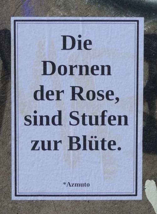 German Love Quotes
 german quote poem beautiful quote love rose flower