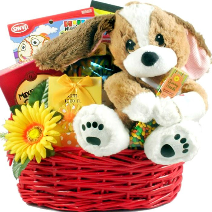 Get Well Gift For Child
 TLC Get Well Basket for Kids