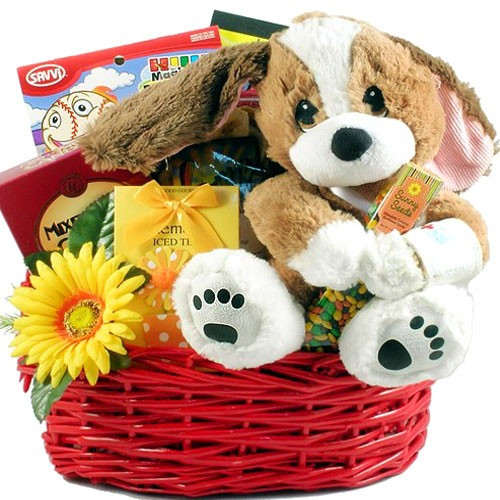 Get Well Gifts For Kids
 TLC Get Well Basket for Kids