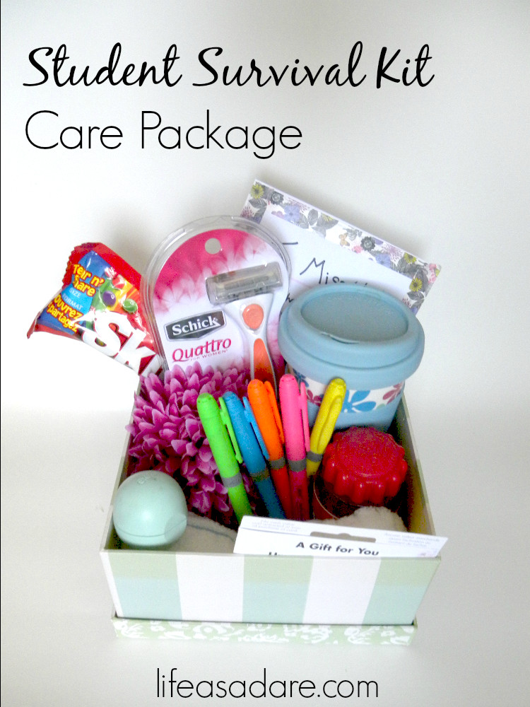 Gift Basket Ideas For College Students
 13 College Care Package Item Ideas