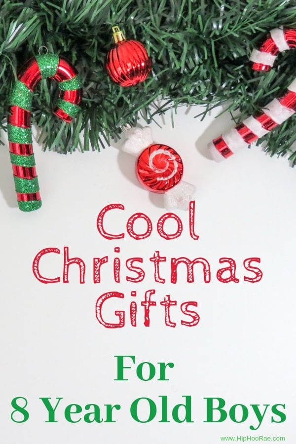 Gift Ideas For 8 Year Old Boys
 Cool Christmas Gifts For 8 Year Old Boys Hip Hoo Rae