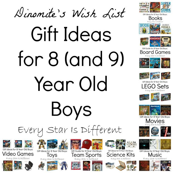 Gift Ideas For 8 Year Old Boys
 Gift Ideas for 8 and 9 Year Old Boys Dinomite s Wish