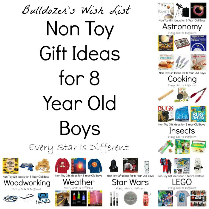 Gift Ideas For 8 Year Old Boys
 Non Toy Gift Ideas for 8 Year Old Boys Every Star Is