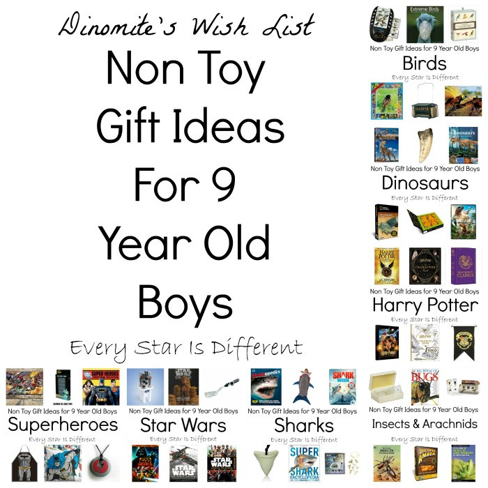 Gift Ideas For 9 Year Old Boys
 Non Toy Gift Ideas for 9 Year Old Boys Every Star Is