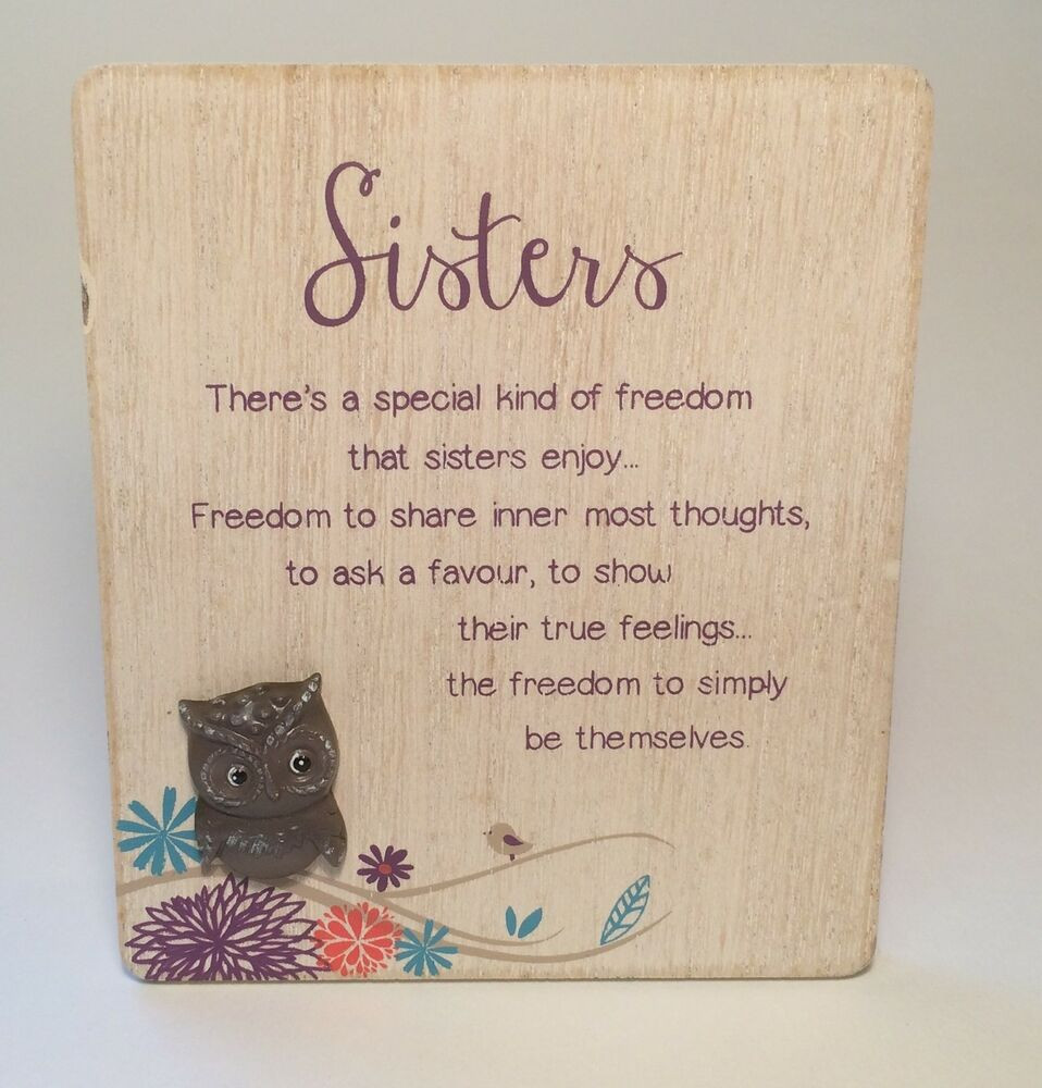 Gift Ideas For Sisters Birthday
 Life s A Hoot Sisters Plaque Birthday Gift Ideas for