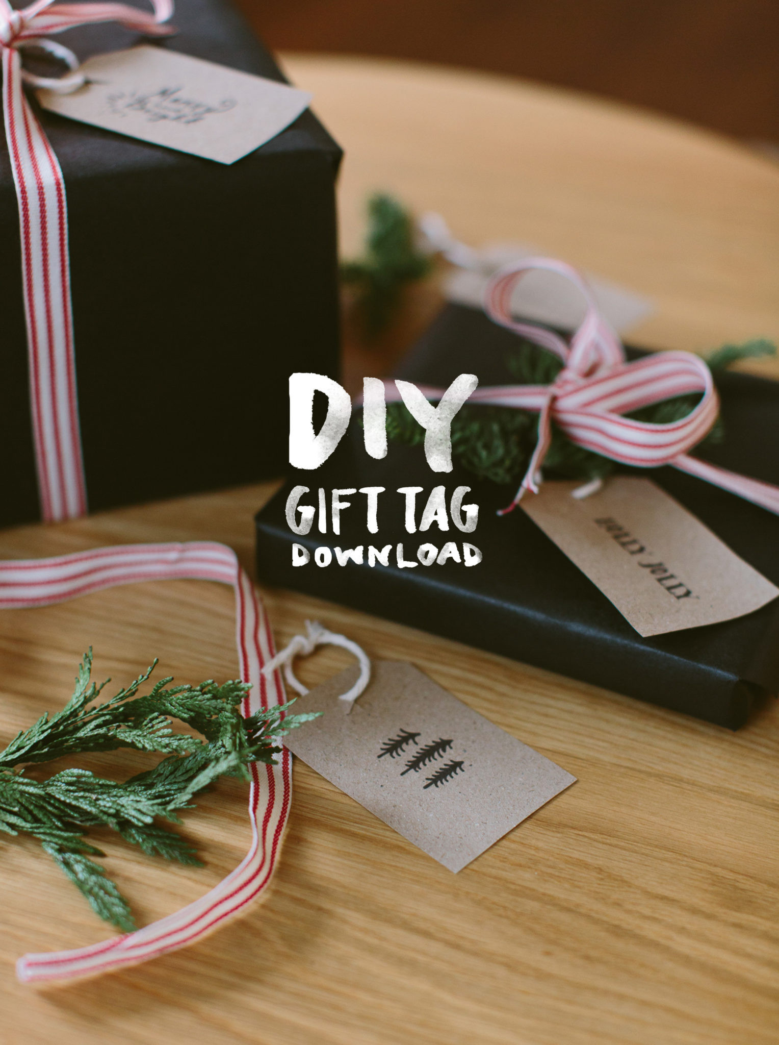 Gift Tags DIY
 DIY Printable Gift Tags