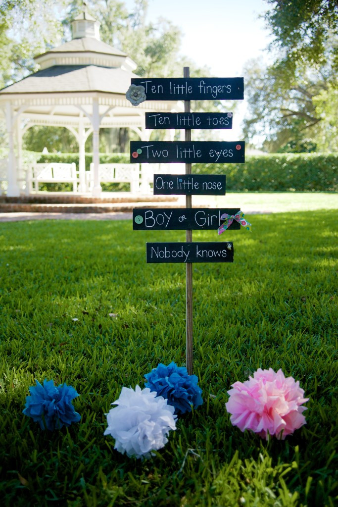 Good Ideas For Gender Reveal Party
 9 Adorable Ideas For Your Baby Gender Reveal Party – Page