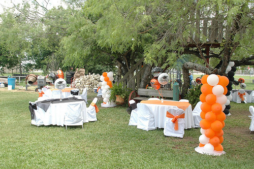 Graduation Party Backyard Ideas
 Backyard graduation party ideas