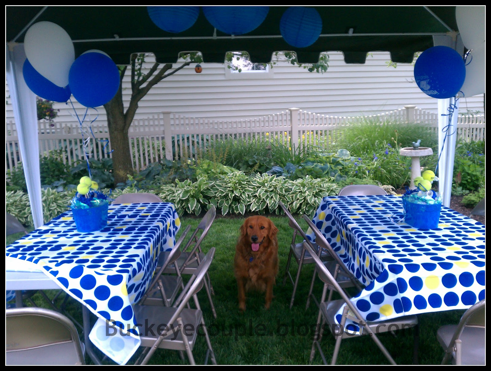 Graduation Party Outside Ideas
 Not So Newlyweds Graduation Party