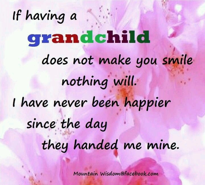 Grandmother And Granddaughter Quotes
 a73f3e c737ef6b38a8d91 720×651