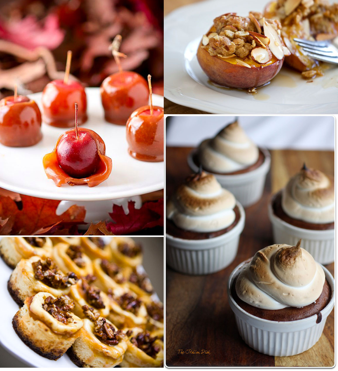 Great Fall Desserts
 Home styled Harvest Meal Inspiration Bug