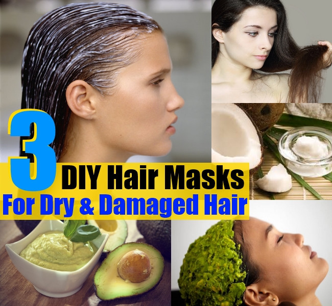 Hair Masks For Damaged Hair DIY
 3 DIY Hair Masks For Dry And Damaged Hair