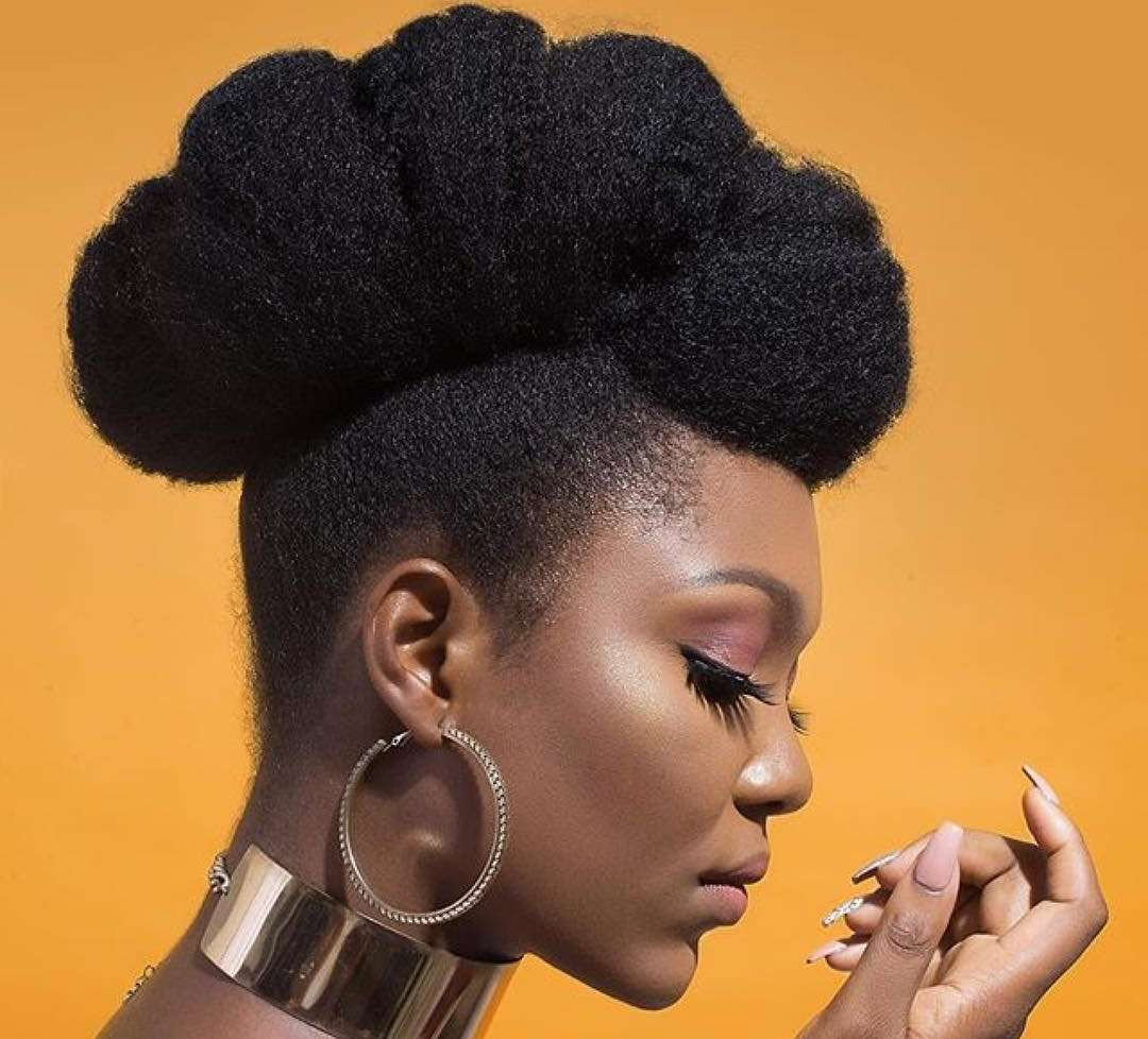 Hairstyle With Natural Hair
 Naturalista 7 Natural Hairstyles You Should Try Out